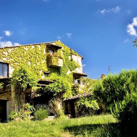 Podere Patrignone ξενώνας Castellina in Chianti Εξωτερικό φωτογραφία