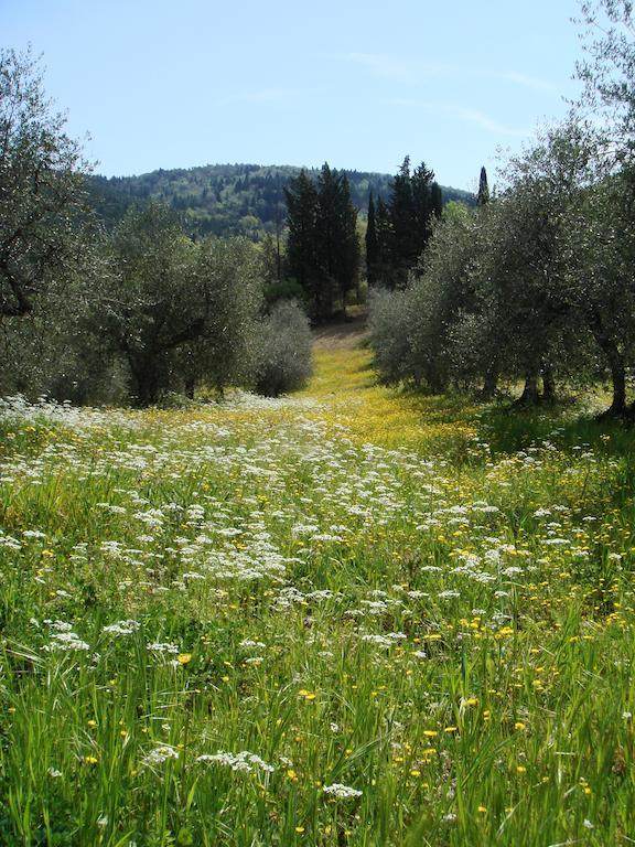 Podere Patrignone ξενώνας Castellina in Chianti Εξωτερικό φωτογραφία