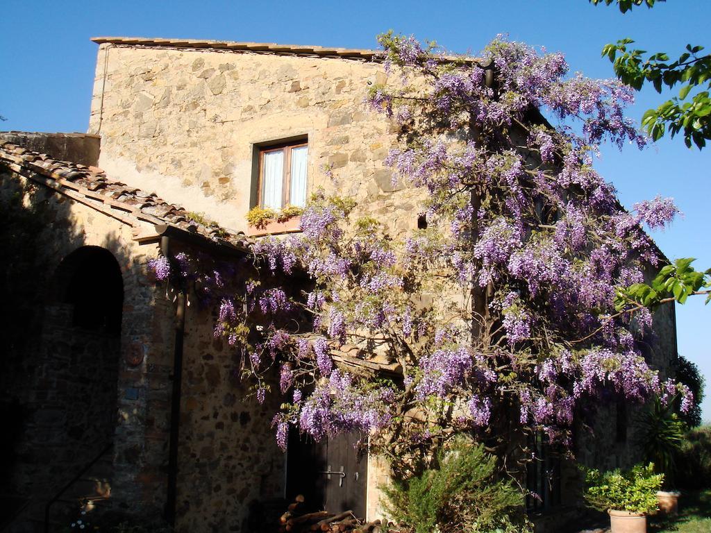 Podere Patrignone ξενώνας Castellina in Chianti Εξωτερικό φωτογραφία