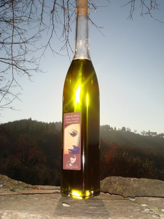 Podere Patrignone ξενώνας Castellina in Chianti Εξωτερικό φωτογραφία