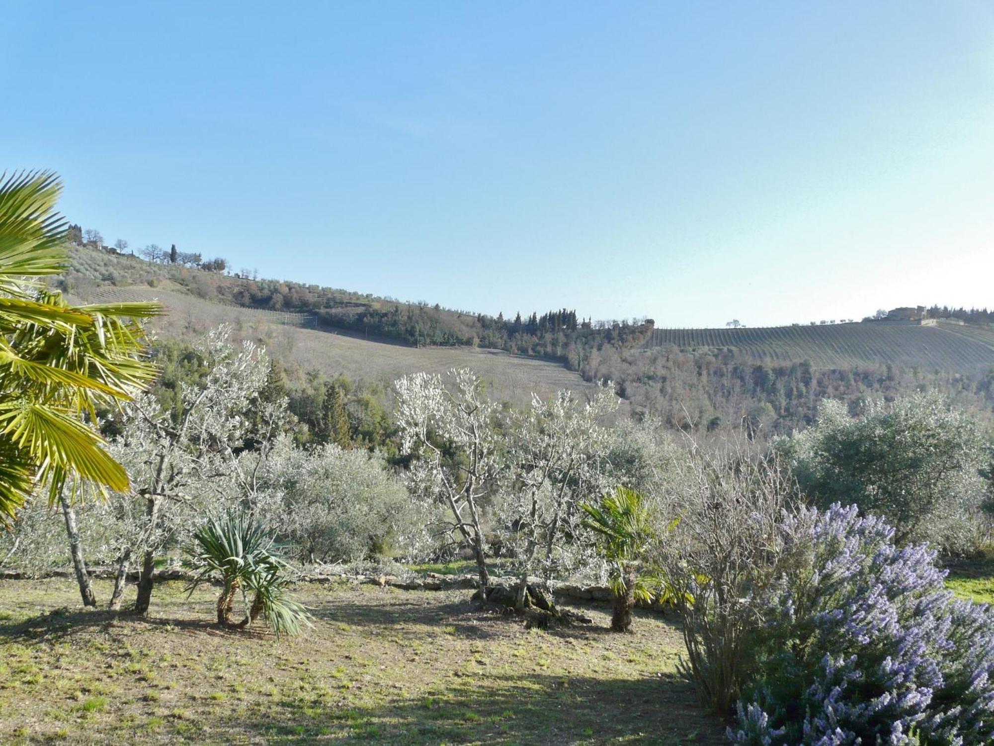 Podere Patrignone ξενώνας Castellina in Chianti Δωμάτιο φωτογραφία