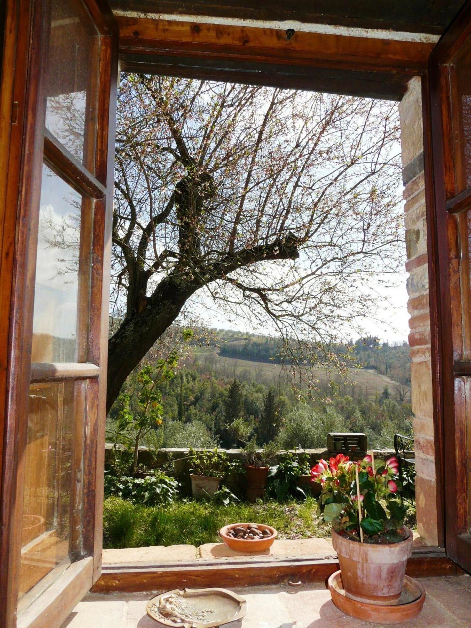 Podere Patrignone ξενώνας Castellina in Chianti Δωμάτιο φωτογραφία
